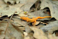  2009-05-09 06.58.36.JPG 